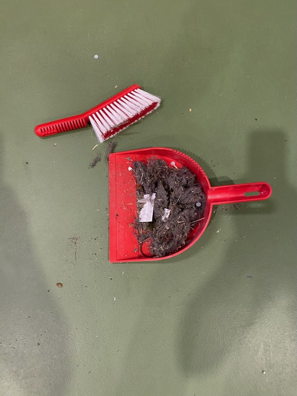 Brush and dustpan holding dust, grit and hair swept off a sports floor, showing what a weekly dry clean lifts before it is ground into the finish