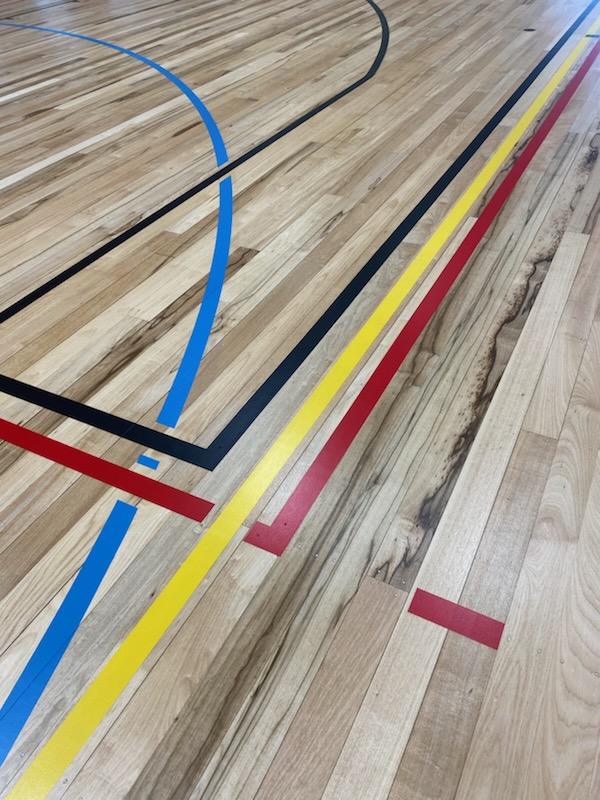 Close-up of freshly applied court line marking on a maple timber floor, with blue, black, red and yellow lines running across the boards